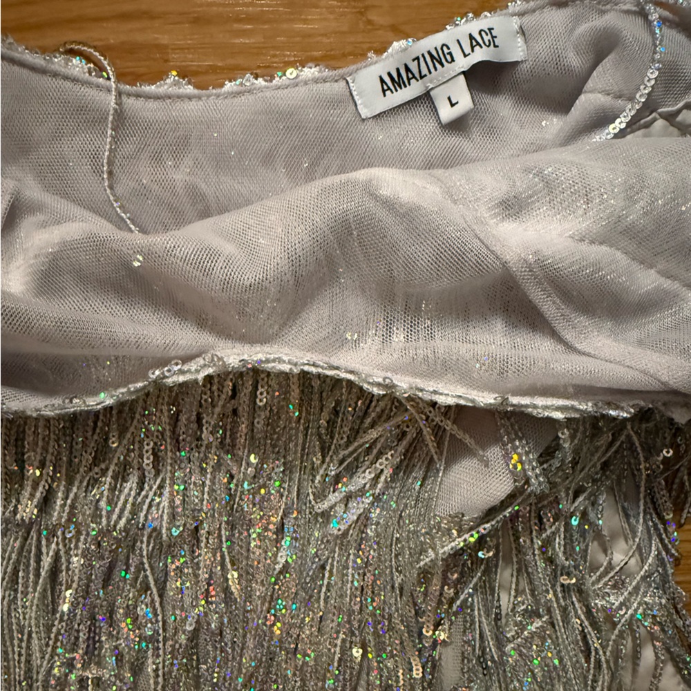 Amazing Lace Silver Fringe Mini Dress - Picture 9 of 12